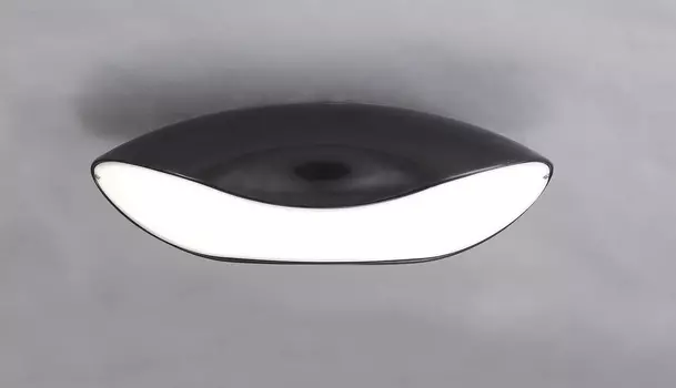 Потолочная люстра Mantra PASION 1957