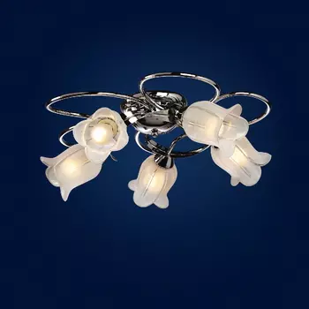 Потолочная люстра Максисвет 1-0245-5-CR E14