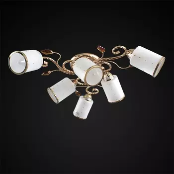 Потолочная люстра Максисвет 1-1064-6-FG E14