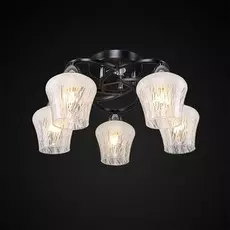 Потолочная люстра Максисвет 1-3080-5-BK+CR E27