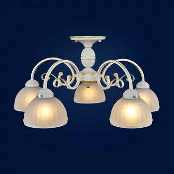 Потолочная люстра Максисвет 1-4120-5-BGS E14