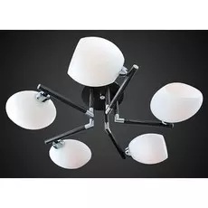 Потолочная люстра Максисвет 1-5114-5-CR+DWE E14