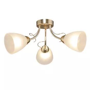 Потолочная люстра Максисвет 1-8848-3-FG E14