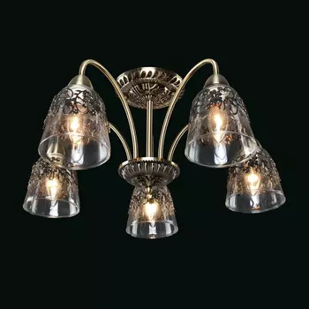 Потолочная люстра Максисвет 1-8860-5-AB E14