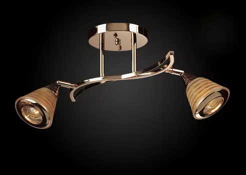 Потолочная люстра Максисвет 1-9616-2-FG E14-L