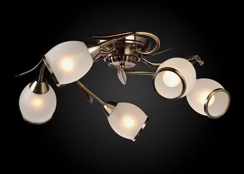 Потолочная люстра Максисвет 1-9643-5-AB E14