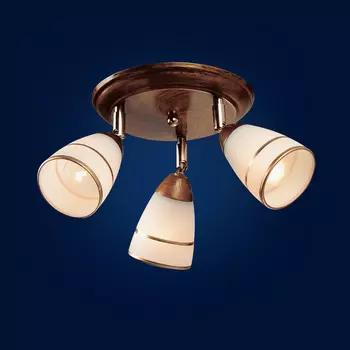 Потолочная люстра Максисвет 1-9939-3-BKS E14