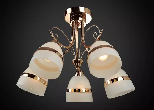 Потолочная люстра Максисвет 2-9870-5-FG E14