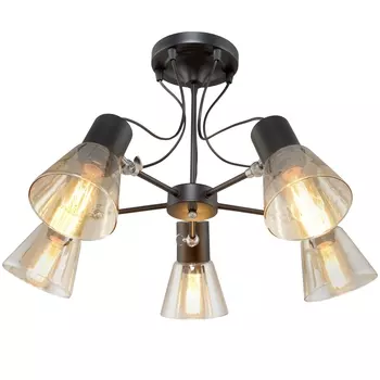 Потолочная люстра Максисвет 4719 1-4719-5-BK E27