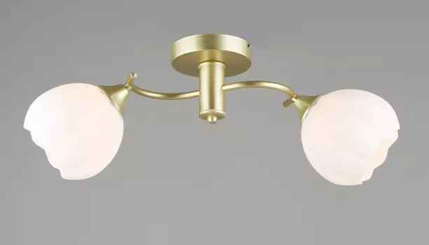 Потолочная люстра Мелодия Света 000066031