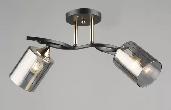 Потолочная люстра Мелодия Света 000066060