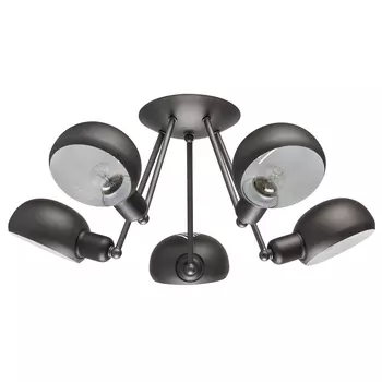 Потолочная люстра MW Light ДаунТаун 691010205