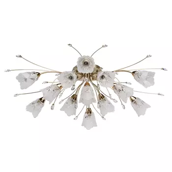 Потолочная люстра MW Light Подснежник 294016213