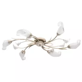 Потолочная люстра MW Light Восторг 242016906