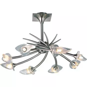 Потолочная люстра N-Light N-Light 0653 PX-0653/8A