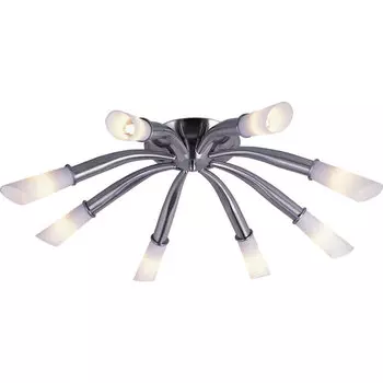 Потолочная люстра N-Light N-Light PX-0449 PX-0449/8B