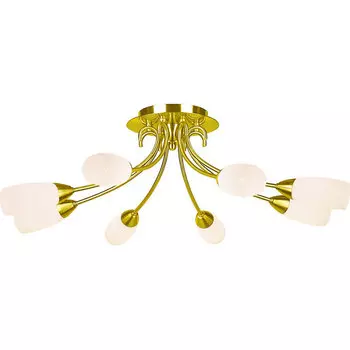 Потолочная люстра N-Light N-Light PX-0041 PX-0041/8B