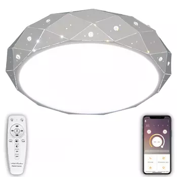 Потолочная люстра Natali Kovaltseva LED LED LAMPS 81205