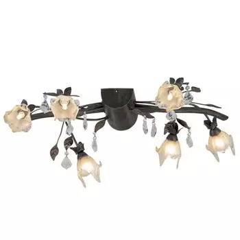 Потолочная люстра Odeon Light 1367/6A