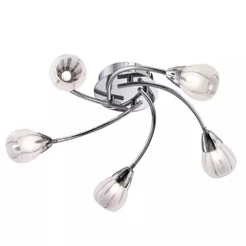 Потолочная люстра Odeon Light 1613/5C