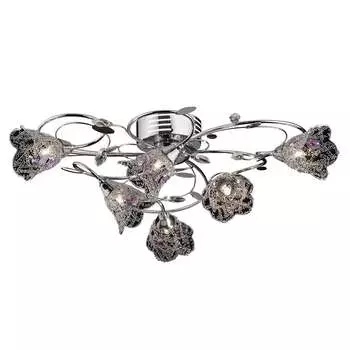 Потолочная люстра Odeon Light 2234/6C