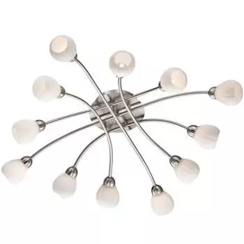 Потолочная люстра Odeon Light Akron 2469/12C