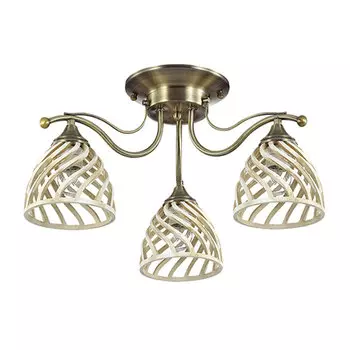 Потолочная люстра Odeon Light ARETTA 3199/3C