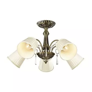 Потолочная люстра Odeon Light ATESA 2925/5C