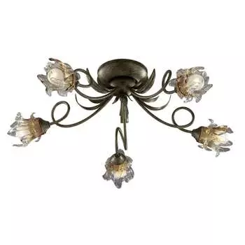 Потолочная люстра Odeon Light BERTO 2126/5C