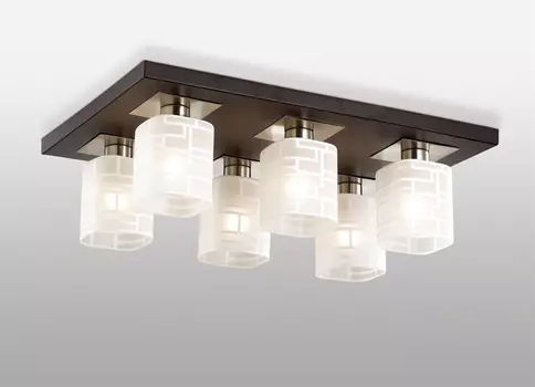 Потолочная люстра Odeon Light Campus 2615/6C