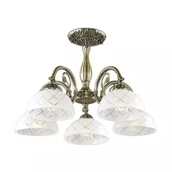 Потолочная люстра Odeon Light Emeril 2945/5C