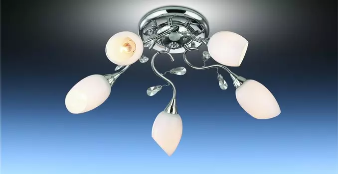 Потолочная люстра Odeon Light FIERA 1603/5