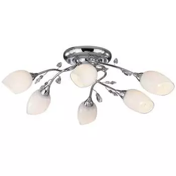 Потолочная люстра Odeon Light FIERA 1603/6