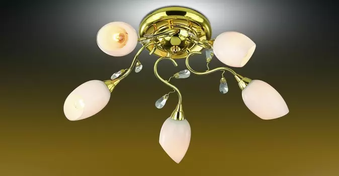 Потолочная люстра Odeon Light FIERA 1604/5