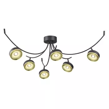 Потолочная люстра Odeon Light Fineca 3812/42CL