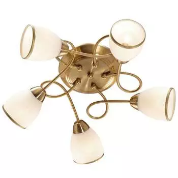 Потолочная люстра Odeon Light Foko 2561/5C