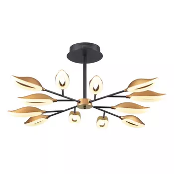 Потолочная люстра Odeon Light Gardena 3903/84CL