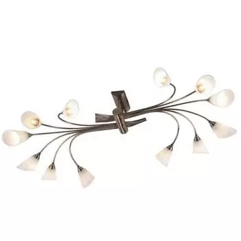 Потолочная люстра Odeon Light HEDYS 1375/12