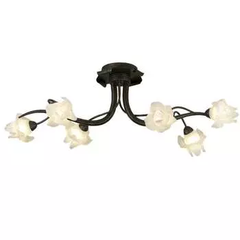 Потолочная люстра Odeon Light IRIS 1372/6