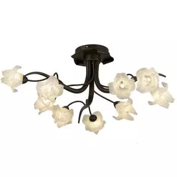 Потолочная люстра Odeon Light IRIS 1372/9