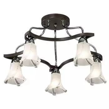 Потолочная люстра Odeon Light IWO 2237/5C