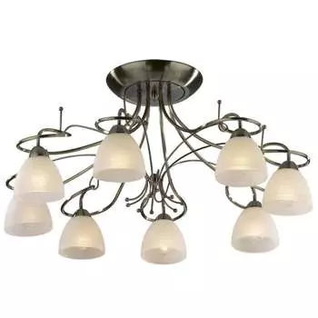 Потолочная люстра Odeon Light Kaena 2120/8C