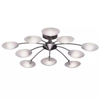 Потолочная люстра Odeon Light KERA 1376/10