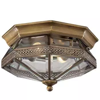 Потолочная люстра Odeon Light Lagon 2545/2