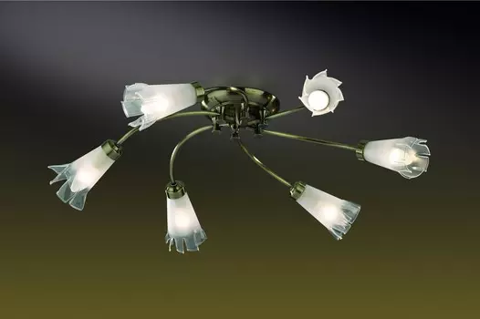 Потолочная люстра Odeon Light NELLA 2129/6C