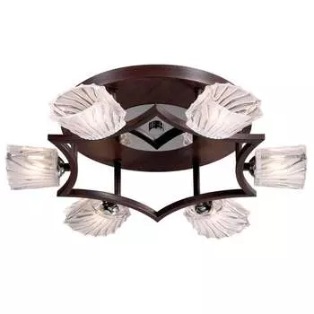 Потолочная люстра Odeon Light Okino 2236/6C