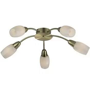 Потолочная люстра Odeon Light OTTA 2067/5C