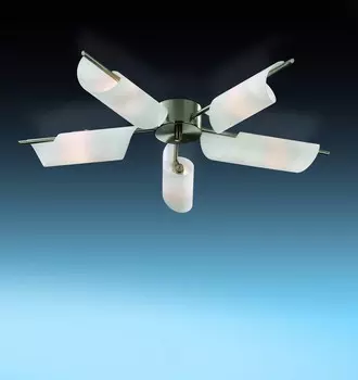 Потолочная люстра Odeon Light RAY 2014/5C