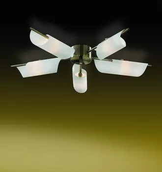 Потолочная люстра Odeon Light RAY 2015/5C