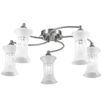 Потолочная люстра Odeon Light Rukba 2516/5C